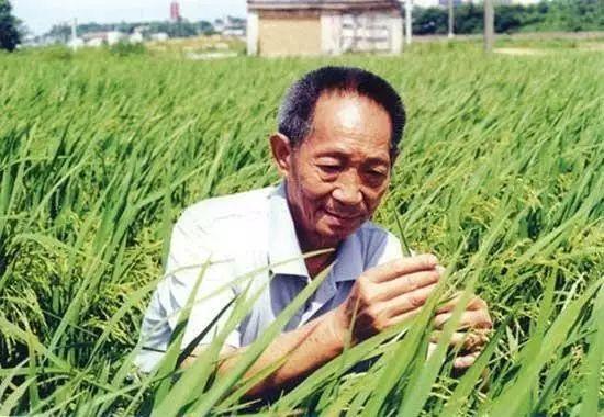 一日三餐，米香彌漫，飽食者當(dāng)憶袁公！