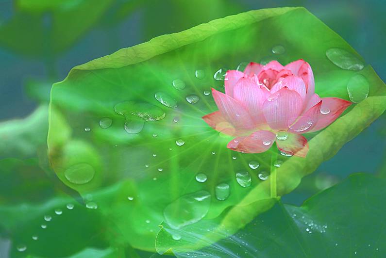 醫(yī)療器械網(wǎng)：失眠該怎么辦？
